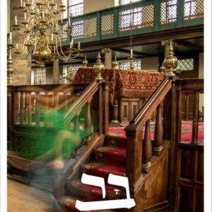 גיליון ז' - מודפס